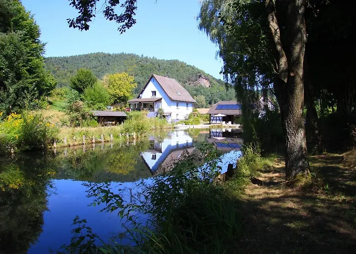 Au Numero 6 Obersteinbach photo