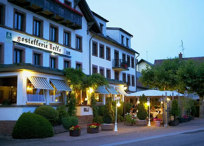 Hostellerie Belle-Vue Wangenbourg-Engenthal photo
