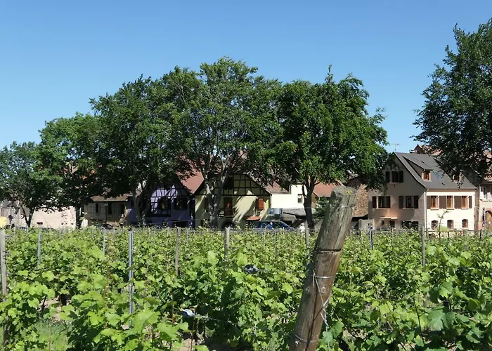 Au Petit Paradis Ammerschwihr photo