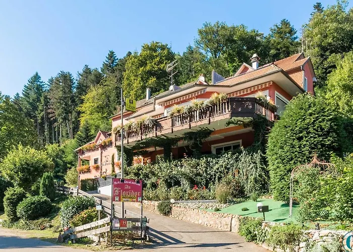 Hotel Restaurant Au Floridor Thann photo