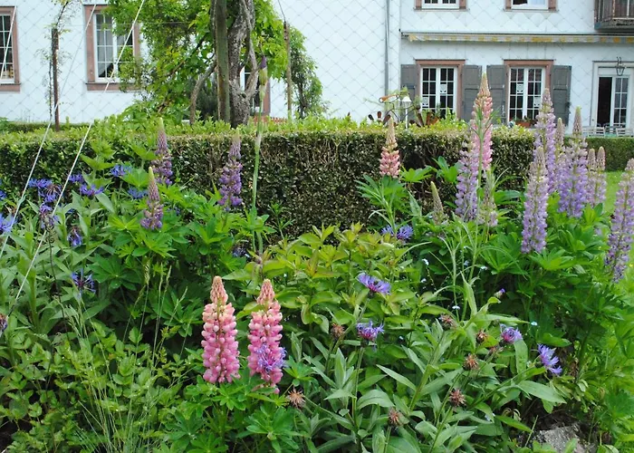 La Vieille Eglise Bed & Breakfast Le Hohwald photo