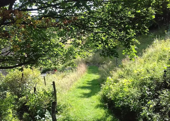 Un Coin De Montagne Apartman Linthal képek