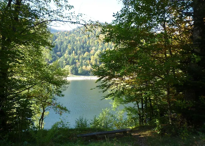 Gite La Charmaie Husseren-Wesserling photo