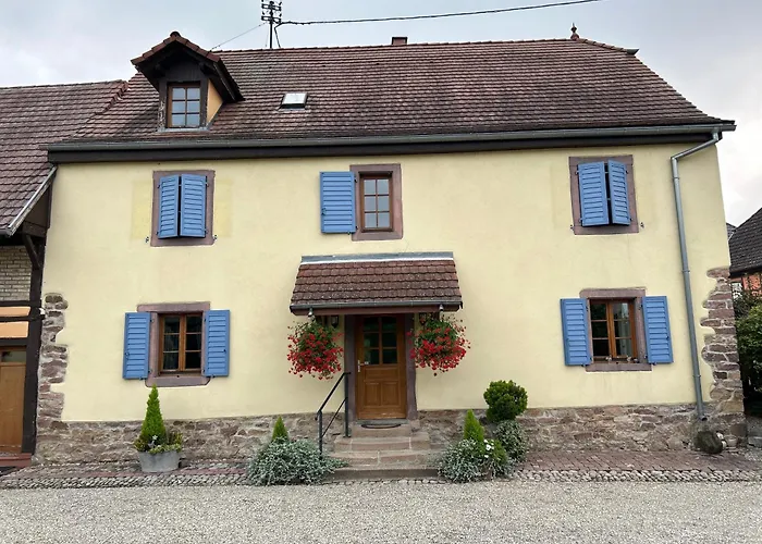 Gite La Maison De Jules Muntzenheim photo