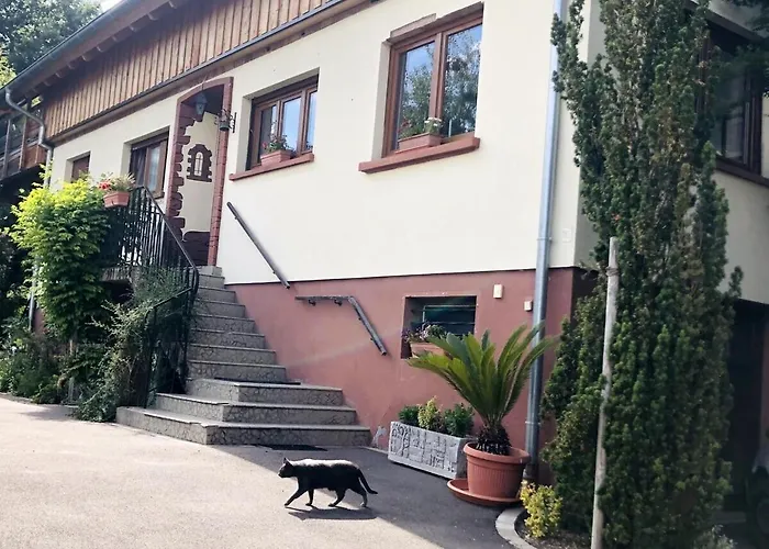 Gite Du Ried Bischwiller photo