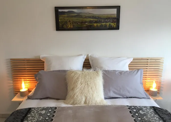 Les Mesanges De L'Ill Bed & Breakfast Andolsheim photo