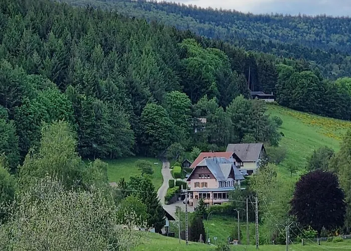 Auberge La Tete En L'Air Le Hohwald photo