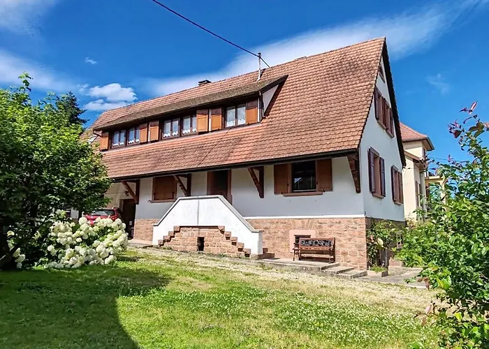 fotos do Appartement Lino - Base Ideale Pour Explorer L'Alsace, Emplacement Privilegie Entre Vignes Et Vosges Thanville