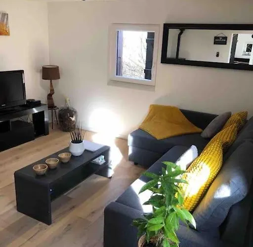 Amelie - Petite Maison Alsacienne Blotzheim photo