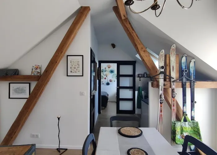 Appartement Cosy Sausheim photo