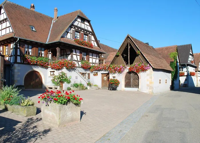 Gite Vignoble De Cleebourg photo