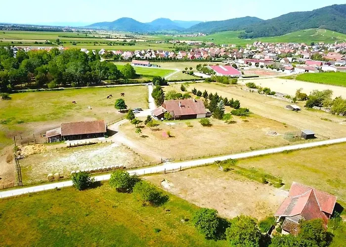 L'Etoile Du Vignoble Au Coeur D'Un Ranch Alsacien Sur La Route Des Vins Apartment Dambach-la-Ville photo