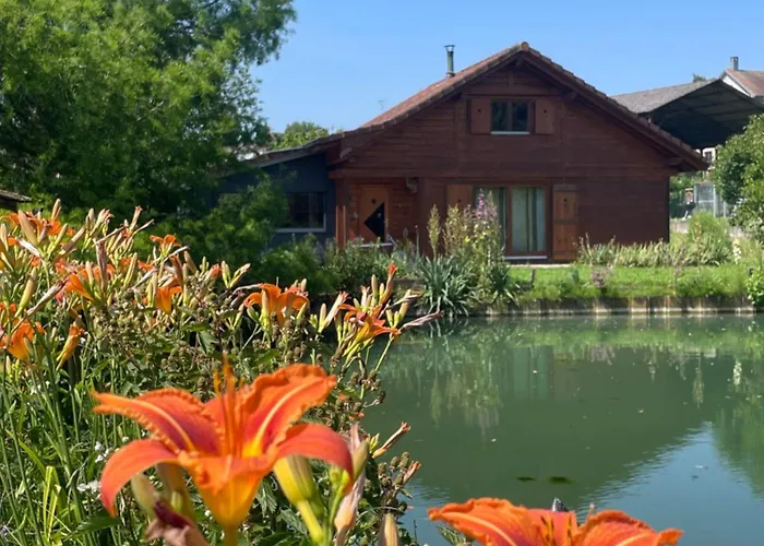 Chalet Au Bord D'Un Etang Ueberstrass fotoğrafı