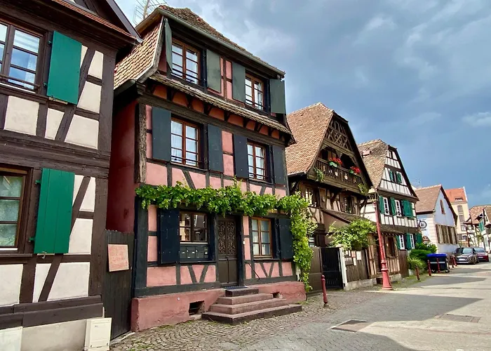 Gite De Caractere Au Calme , Proche Quartier Historique, Au Merlenchanteur Schiltigheim zdjęcie