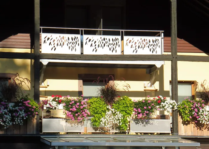 Hostellerie Les Bagenelles 圣玛丽欧米讷照片