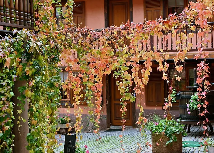 Hotel De L'Ange Niedermorschwihr photo