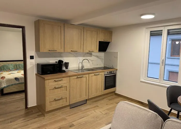 Apartament La Tranquillite Citadine Schiltigheim zdjęcie