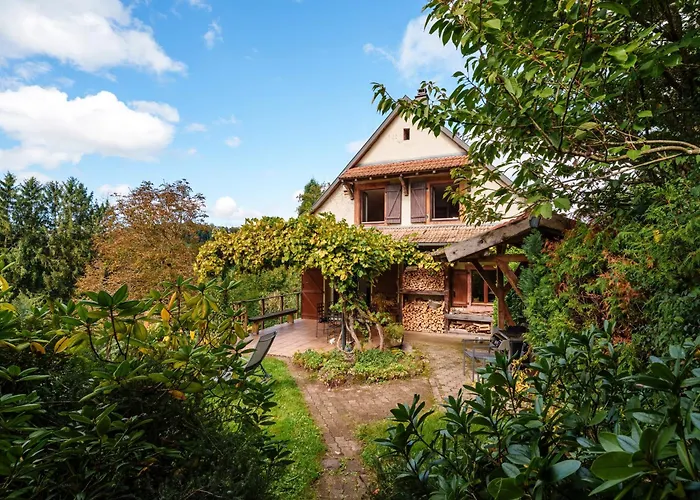 La Colline Aux Oiseaux Villa Tieffenbach fotoğrafı