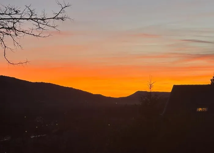 صورة Le Chalet Lutzelhouse