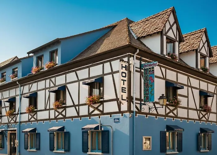 Hotel Restaurant Aux Deux Roses 뇌프브리작 사진