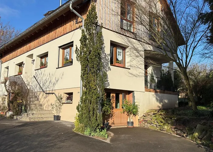 Gite Du Ried Bischwiller 사진