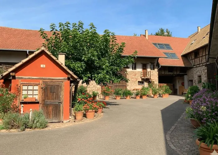 Le Catalpa In The Heart Of A Farmhouse Mittelhausbergen képek