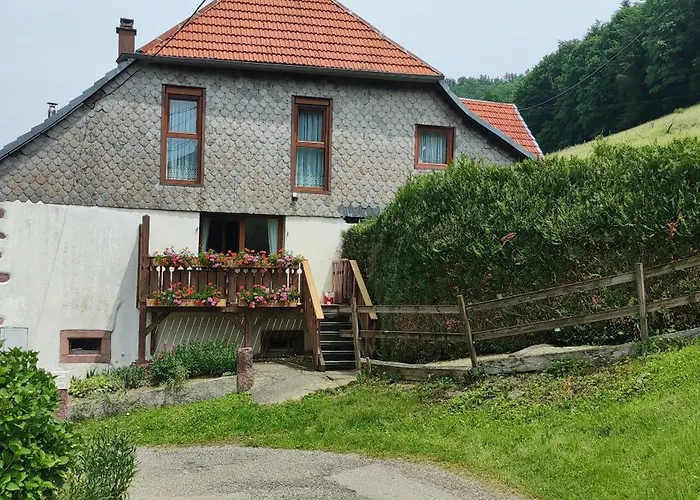 foto di Appartamento La Gentiane Sainte-Marie-aux-Mines