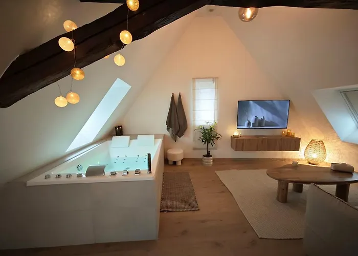 Slow Suite And Spa Erstein fotoğrafı