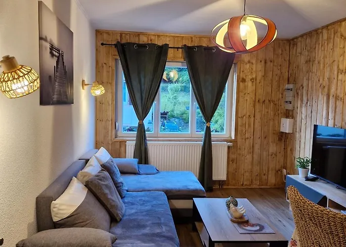 Appartement Cocooning Wackenbach photo