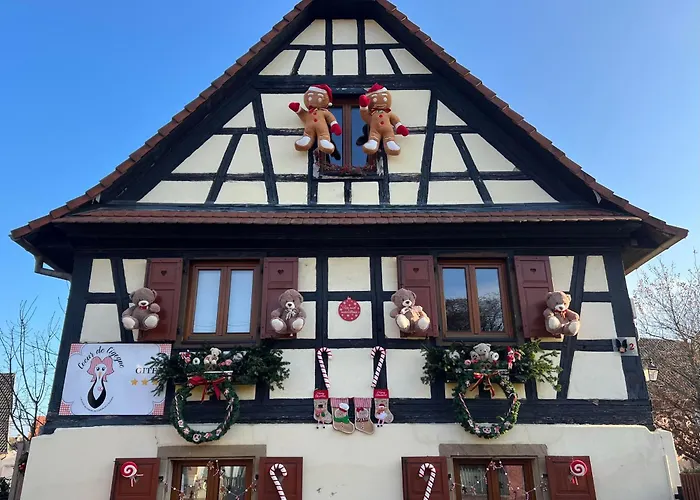 Gîte Coeur de Cigogne - Féerie de Noël, proche de Strasbourg Relais Tram Hangenbieten foto