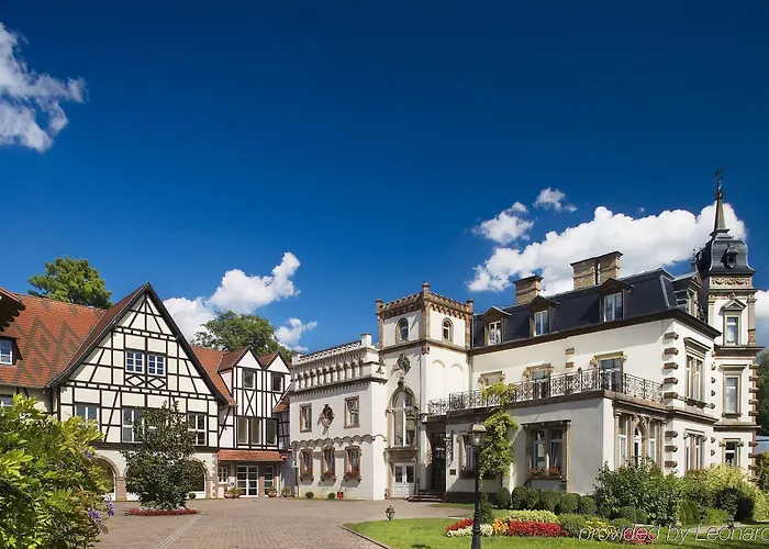 Hotel Chateau De L'Ile Ostwald photo
