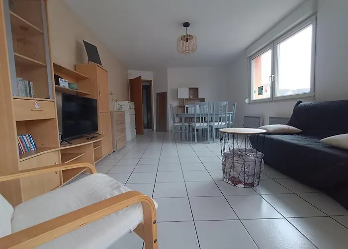 Appart Cosy Avec Balcon - 4 Pers - Proche Strasbourg Geispolsheim fotorgafie