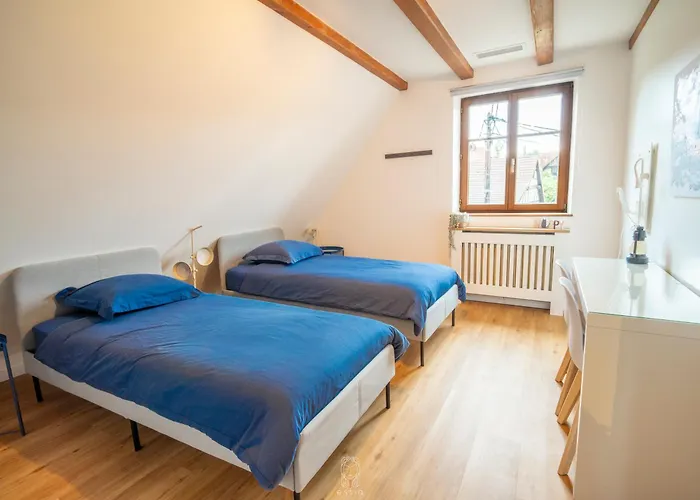 Fermette Des Hirondelles Apartman Dahlenheim képek