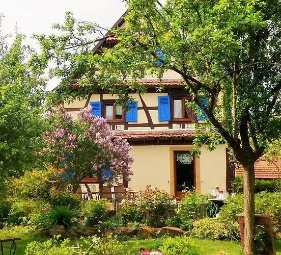 Le Jardin De L'Ill Bed & Breakfast Huttenheim photo