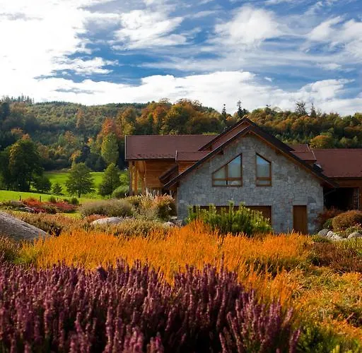 Chambre D'Hotes La Forestiere Le Hohwald photo
