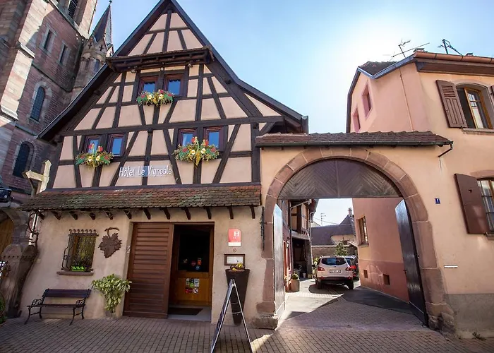 Hotel Le Vignoble Dambach-la-Ville photo
