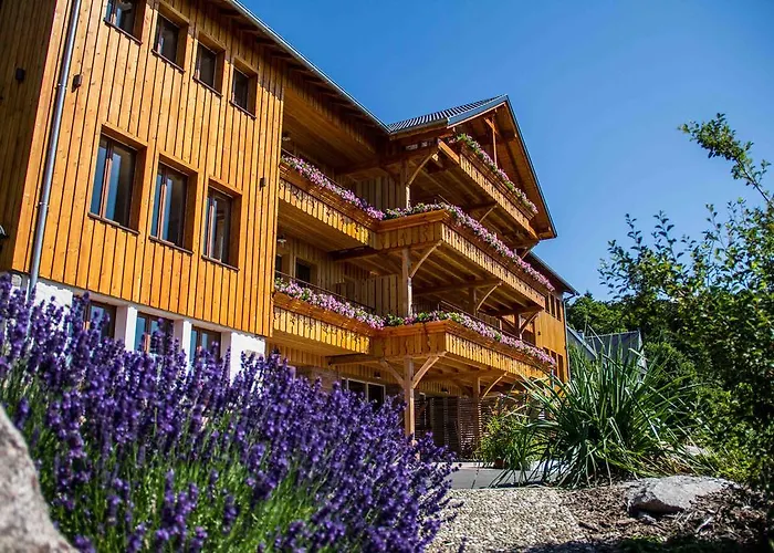 Les Gites D'Adelspach Gites & Spa En Alsace Aubure photo