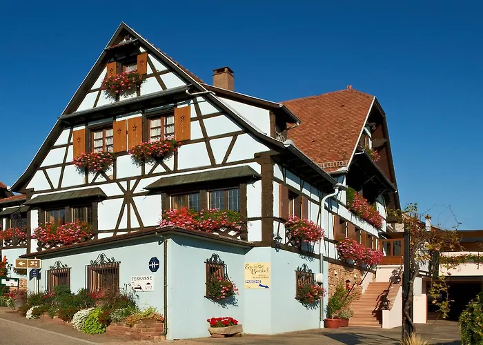 Hotel Restaurant Faller Emmebuckel Itterswiller photo