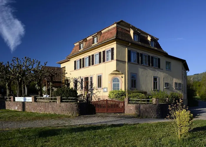 L'Hote Antique Hartmannswiller photo