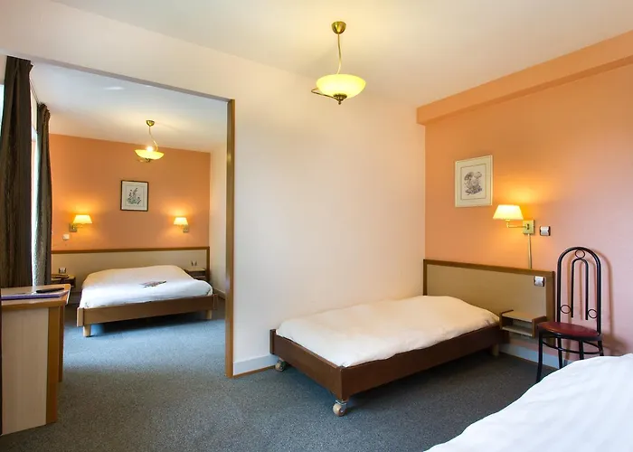 Aqua-Viva Hotel Soultzeren photo