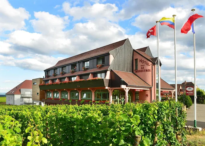 Hotel Le Menestrel Ribeauville  photo