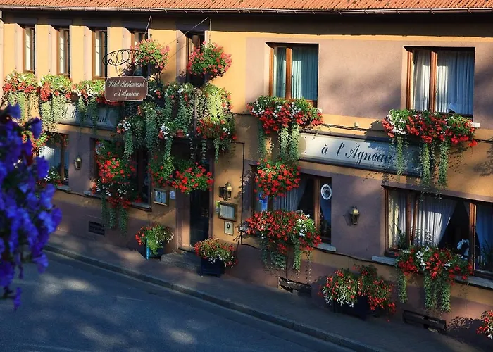 Hotel Restaurant De L'Agneau Pfaffenhoffen photo