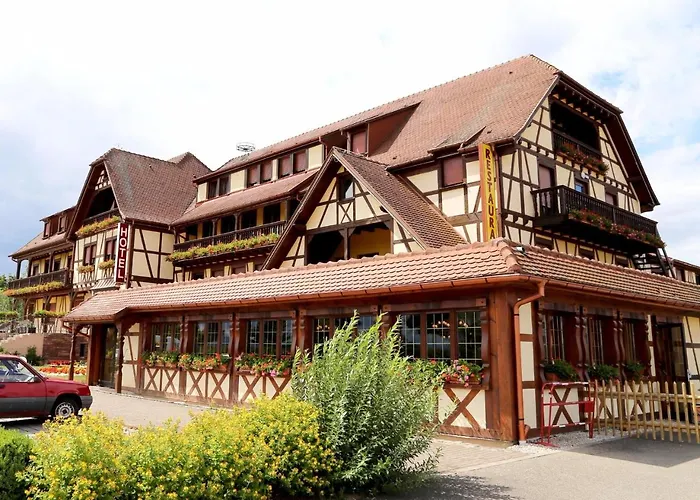 Hotel Au Parc Des Cigognes Kintzheim photo