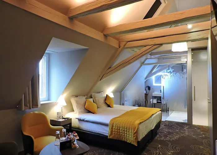 Hotel Restaurant L'Orchidee Ensisheim photo