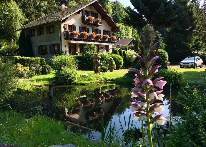 Chambres D'Hotes Des Cascades St-Nicolas Kruth photo