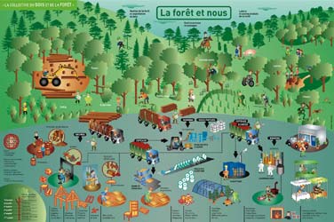 La forêt et nous.