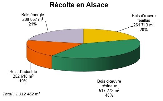 Image2_1.png