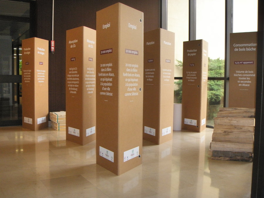P1010004.JPG