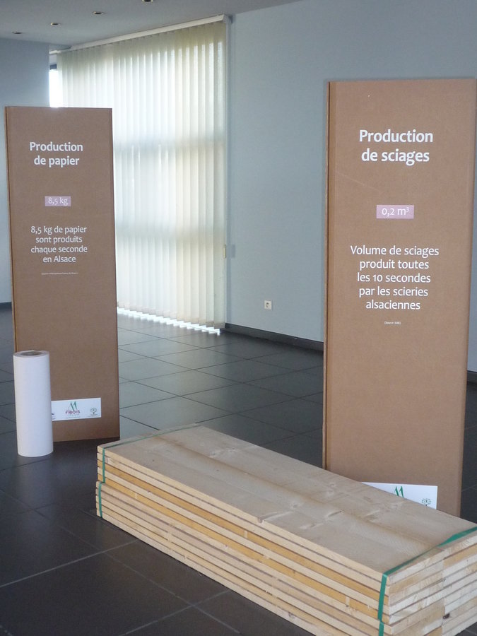 P1030561.JPG