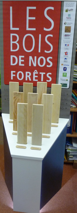 P1080971___Copie.JPG